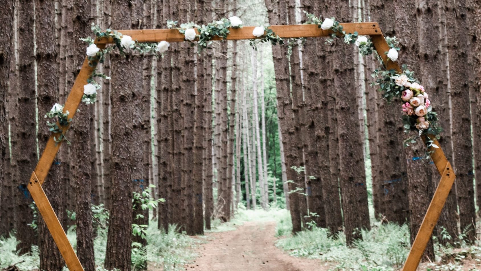 jessica-johnston-mpV6EXlvFCI-unsplash